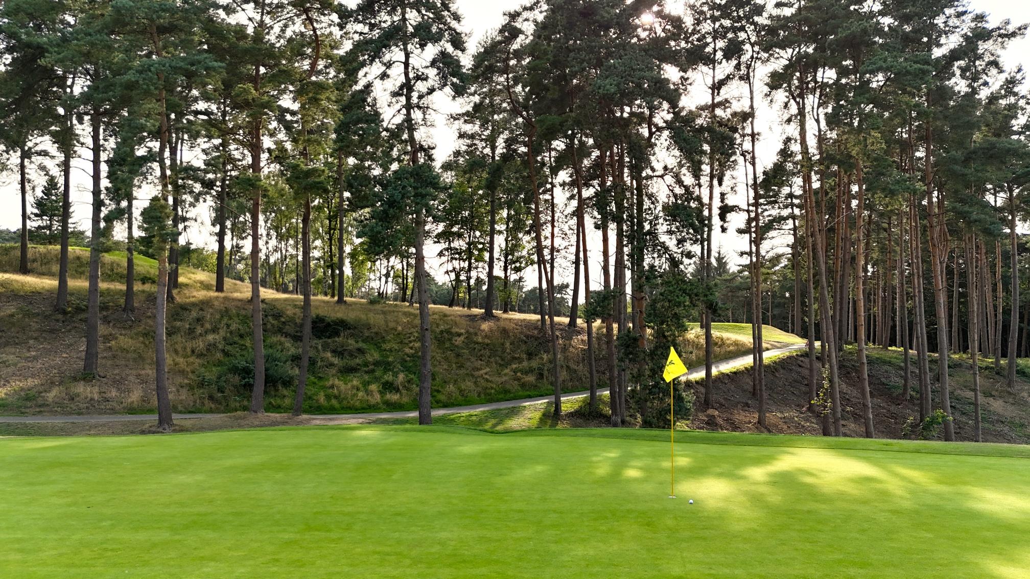 11th Green & Pines
