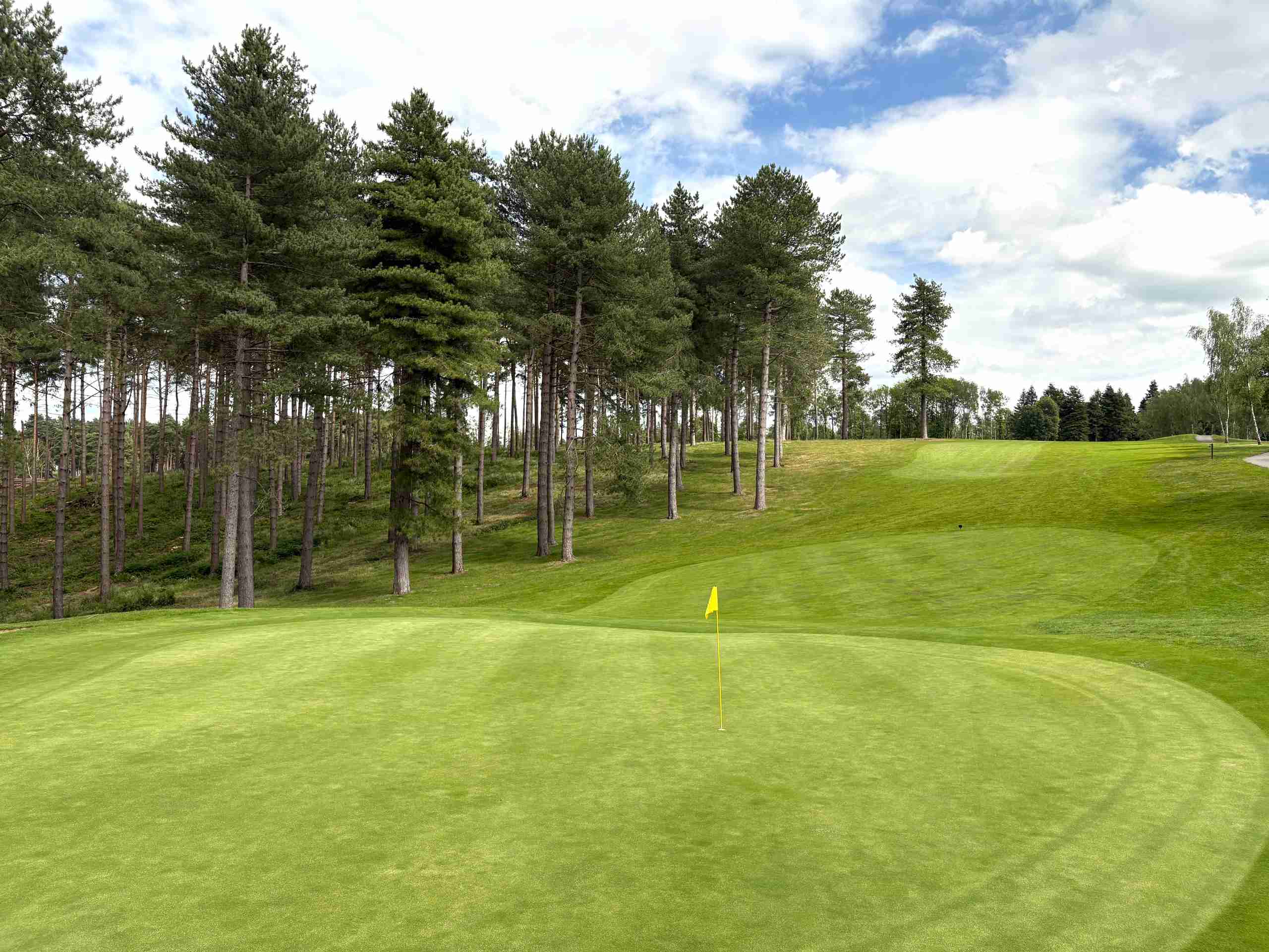 Westerham Golf Club 15th Green & Pines