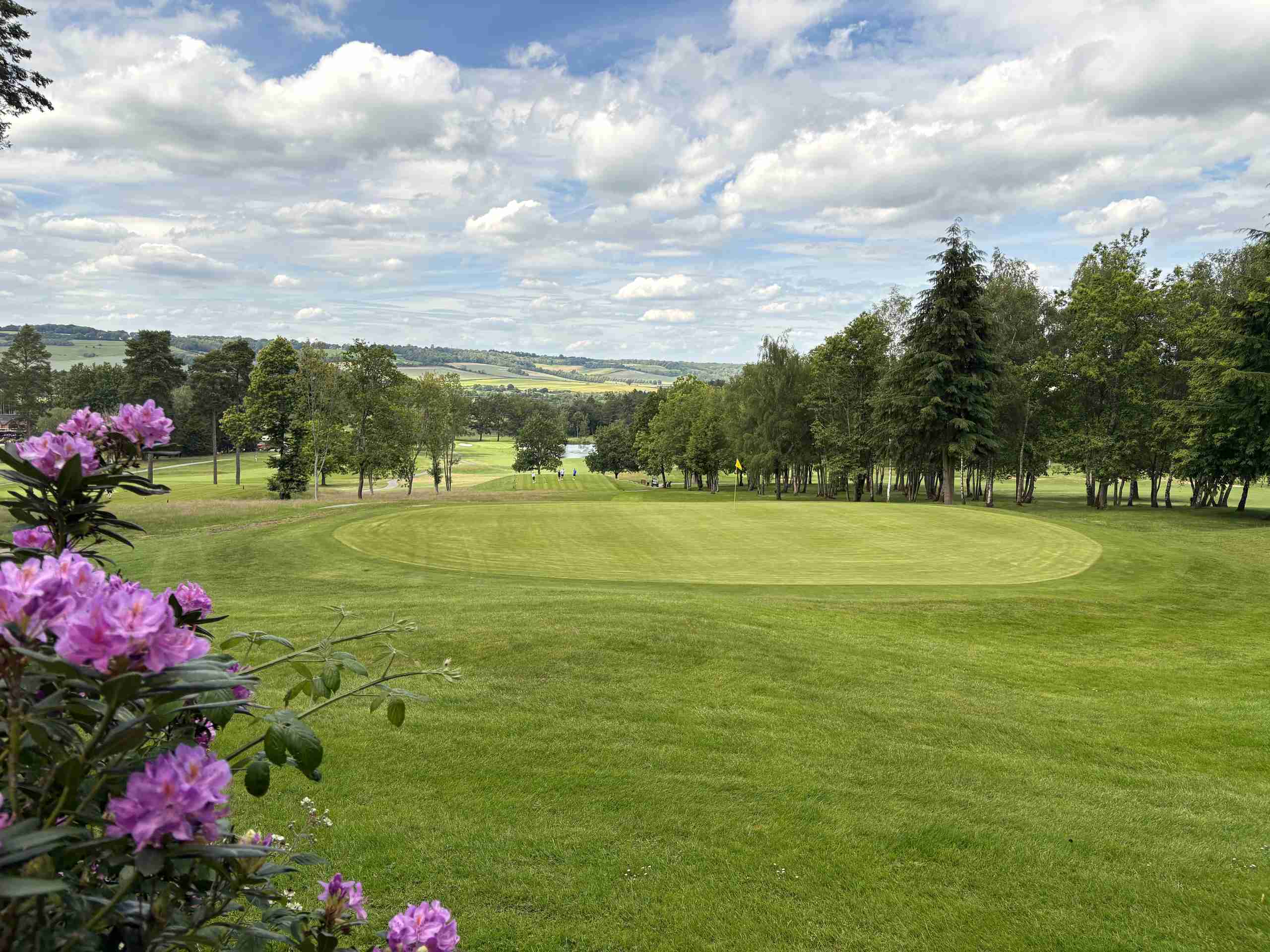 Westerham Golf Club 8th Green