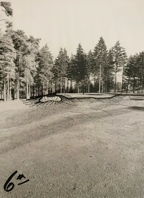Westerham Golf Club Bunker Drawing 6th Green